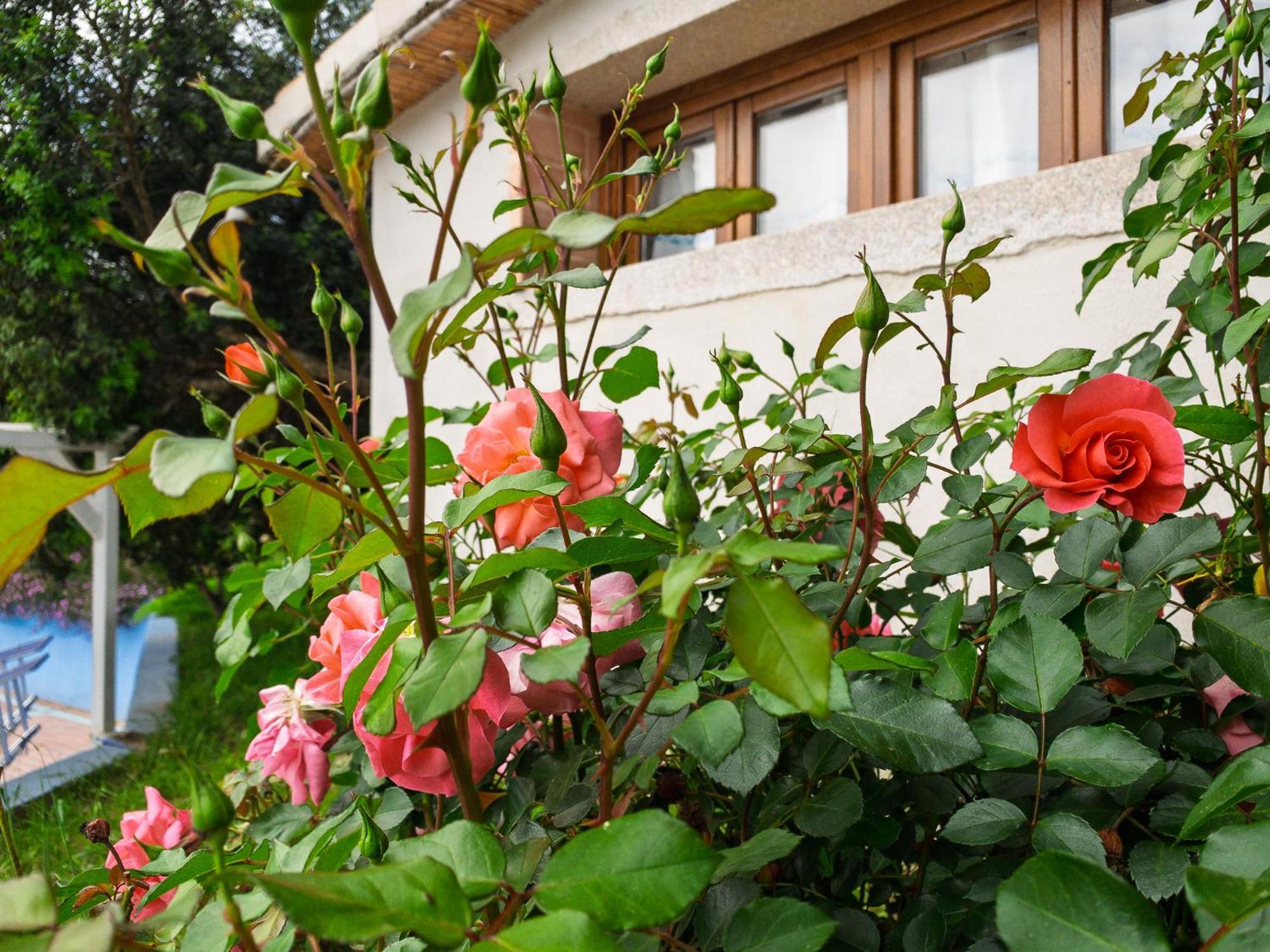 Agriturismo Guparza Posada  Exterior foto